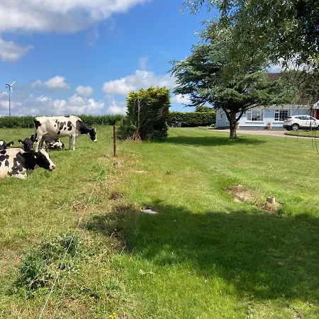 Ard Falcon Appartement Cork