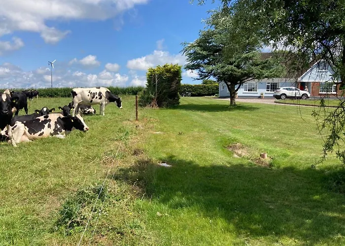 Ard Falcon Appartamento Cork